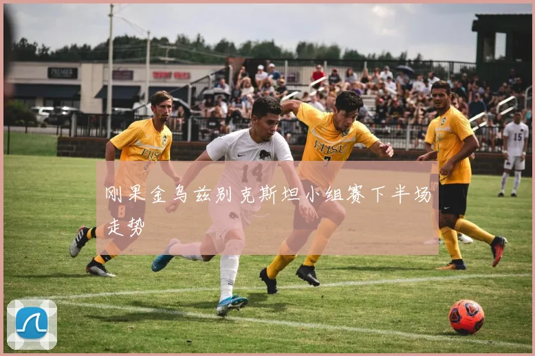 刚果金乌兹别克斯坦小组赛下半场走势
