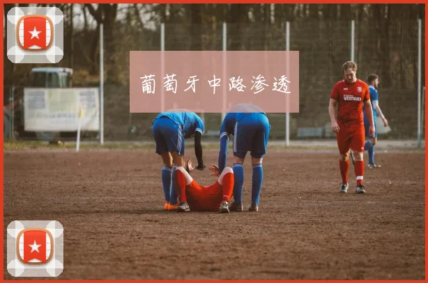 葡萄牙中路渗透