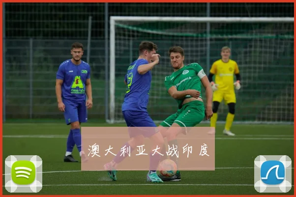 澳大利亚大战印度