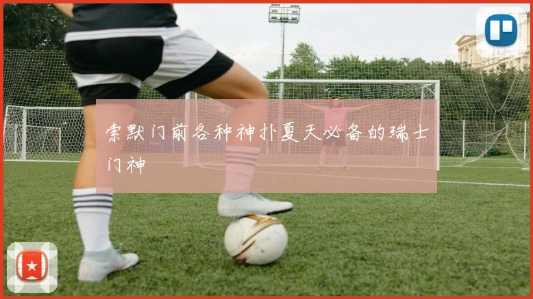 索默门前各种神扑夏天必备的瑞士门神