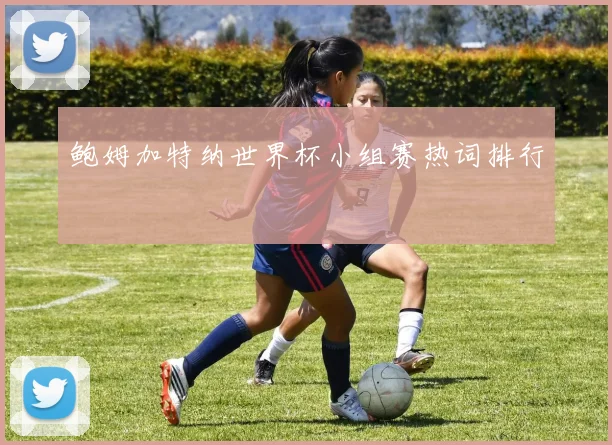 鲍姆加特纳世界杯小组赛热词排行