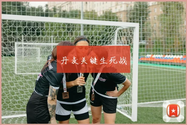丹麦关键生死战