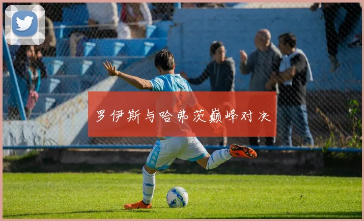 罗伊斯与哈弗茨巅峰对决