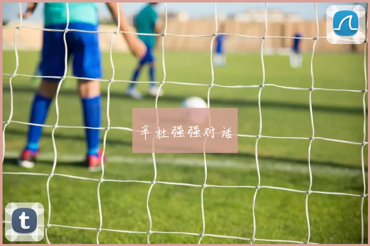 辛杜强强对话