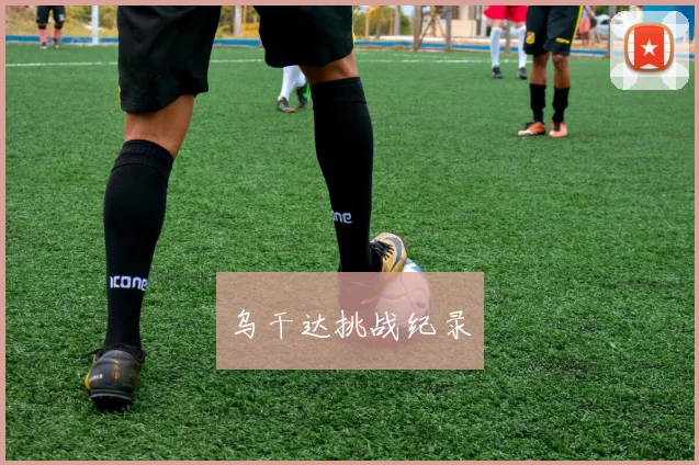 乌干达挑战纪录