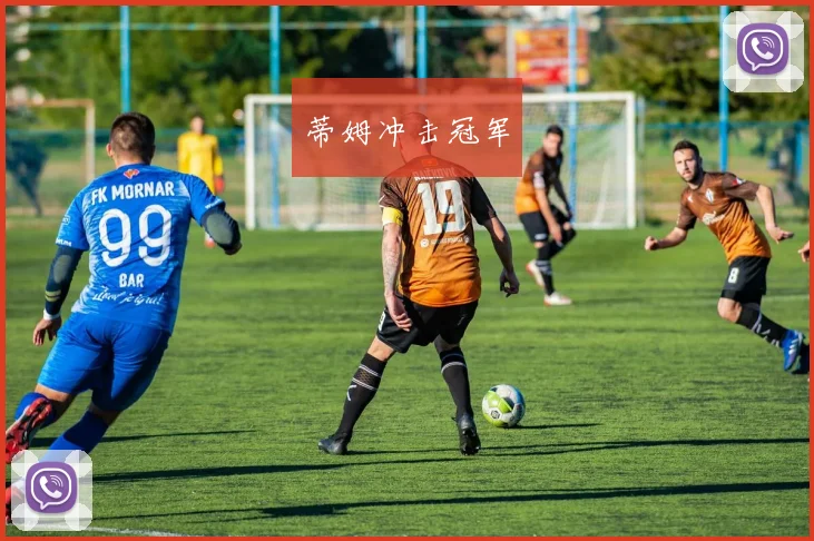 蒂姆冲击冠军