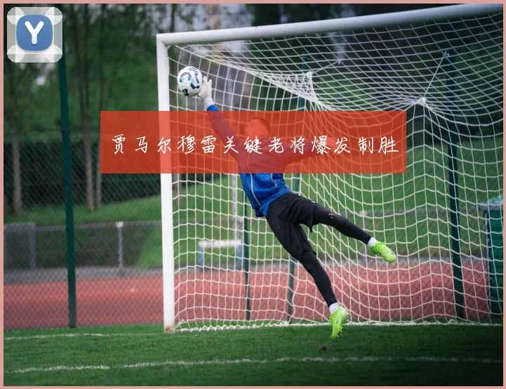 贾马尔穆雷关键老将爆发制胜