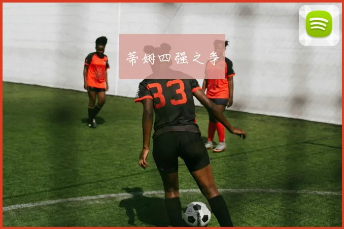 蒂姆四强之争
