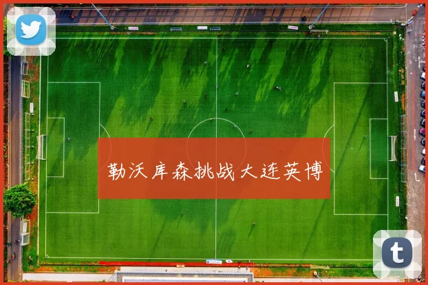 勒沃库森挑战大连英博