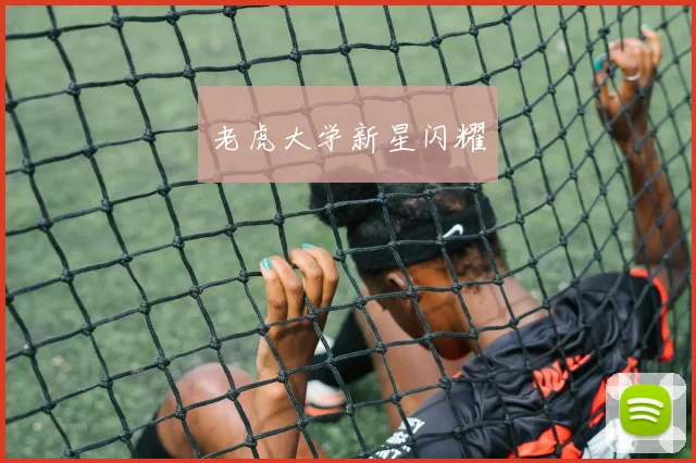 老虎大学新星闪耀