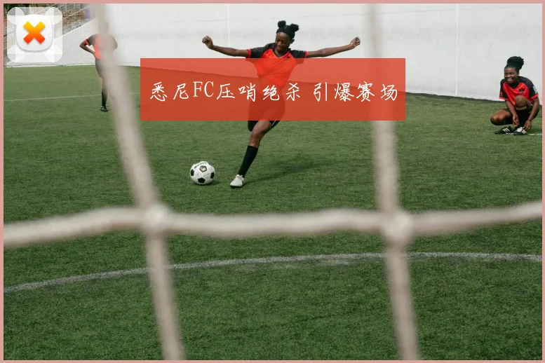 悉尼FC压哨绝杀 引爆赛场