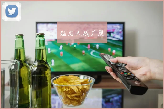 猛龙大战广厦
