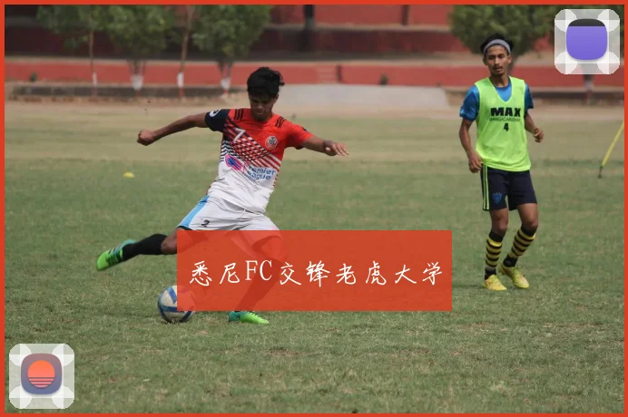 悉尼FC交锋老虎大学
