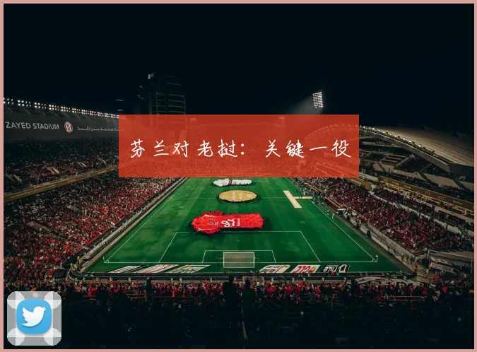 芬兰对老挝：关键一役