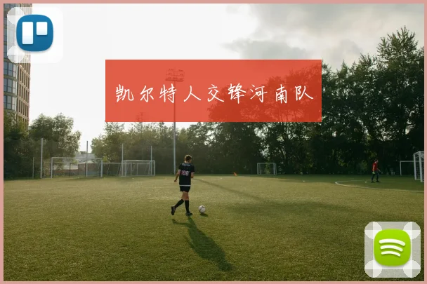 凯尔特人交锋河南队