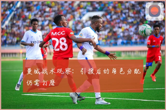 曼城战术观察:引援后的角色分配仍需打磨